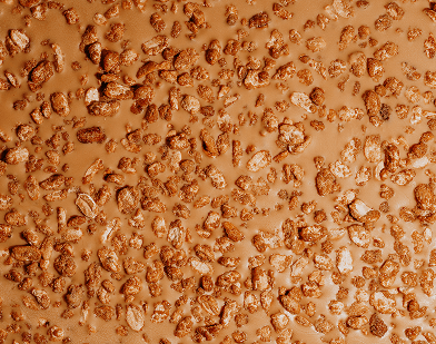 Deri tale Biscoff Flavour Ice Cream